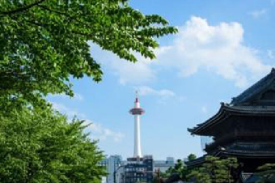 京都の観光・旅行・宿…