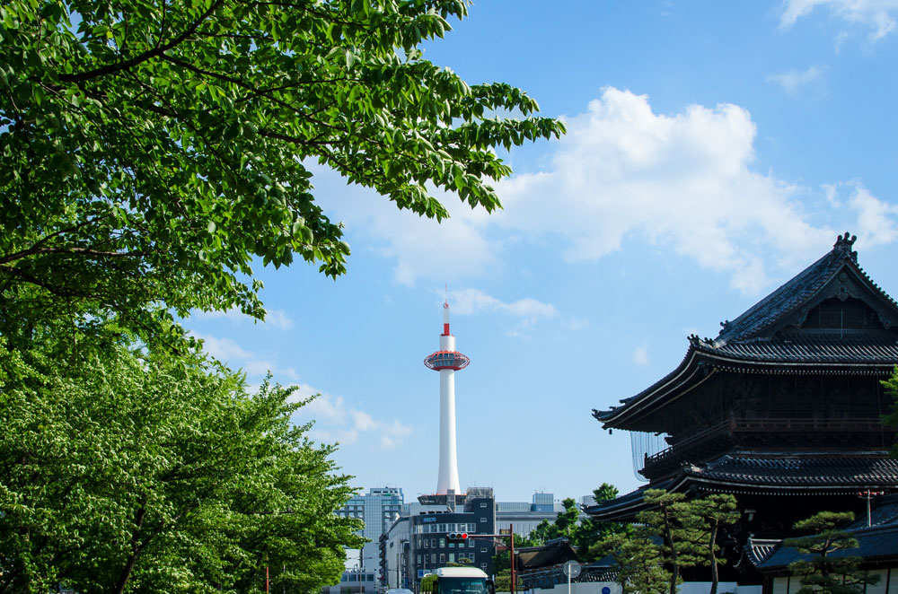 【公式HP限定】夏の京都を静かに堪能◎ゆったりめぐる京都旅～食事なし～